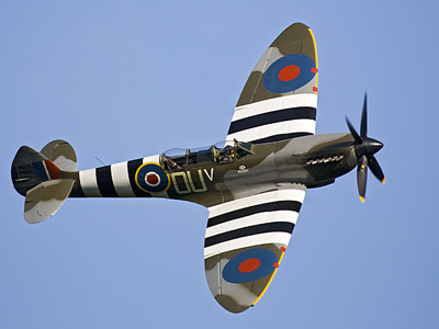 spitmk9d-day.jpg
