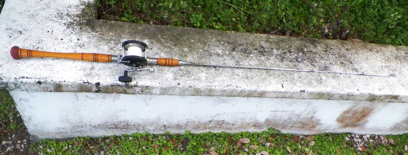 SPORT FISHING ROD & REEL METAL 1AA.JPG