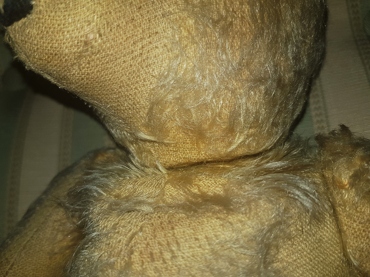 Teddy Bear Mistery - 10.jpg