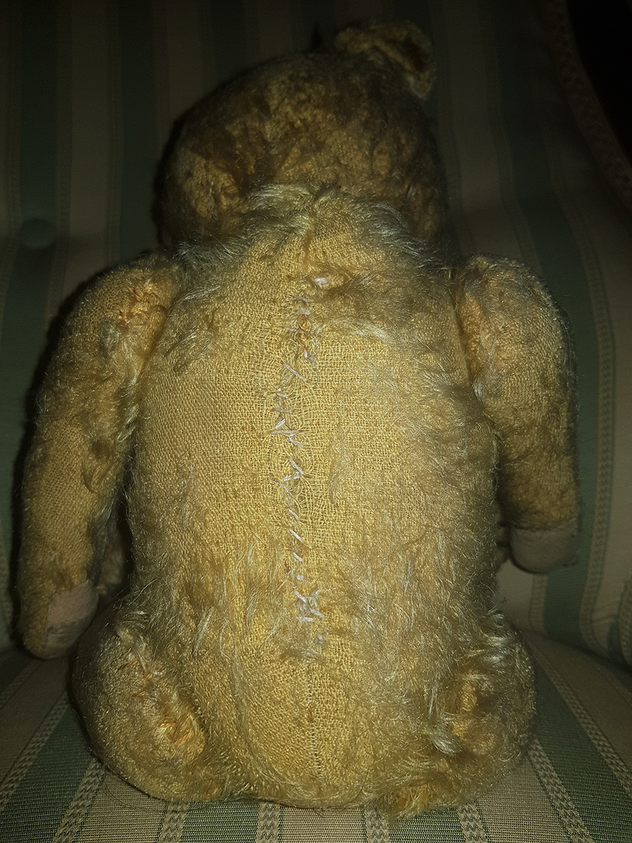 Teddy Bear Mistery - 11.jpg