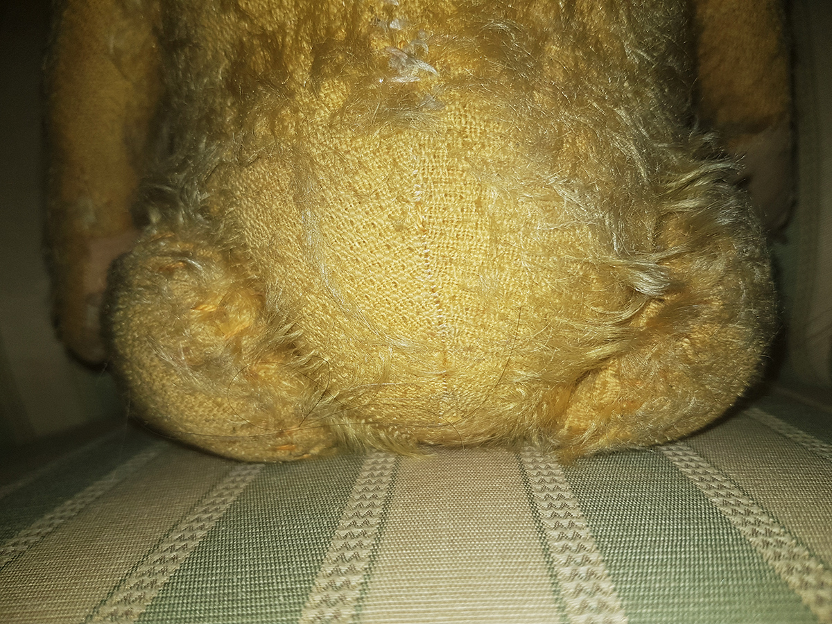 Teddy Bear Mistery - 14.jpg