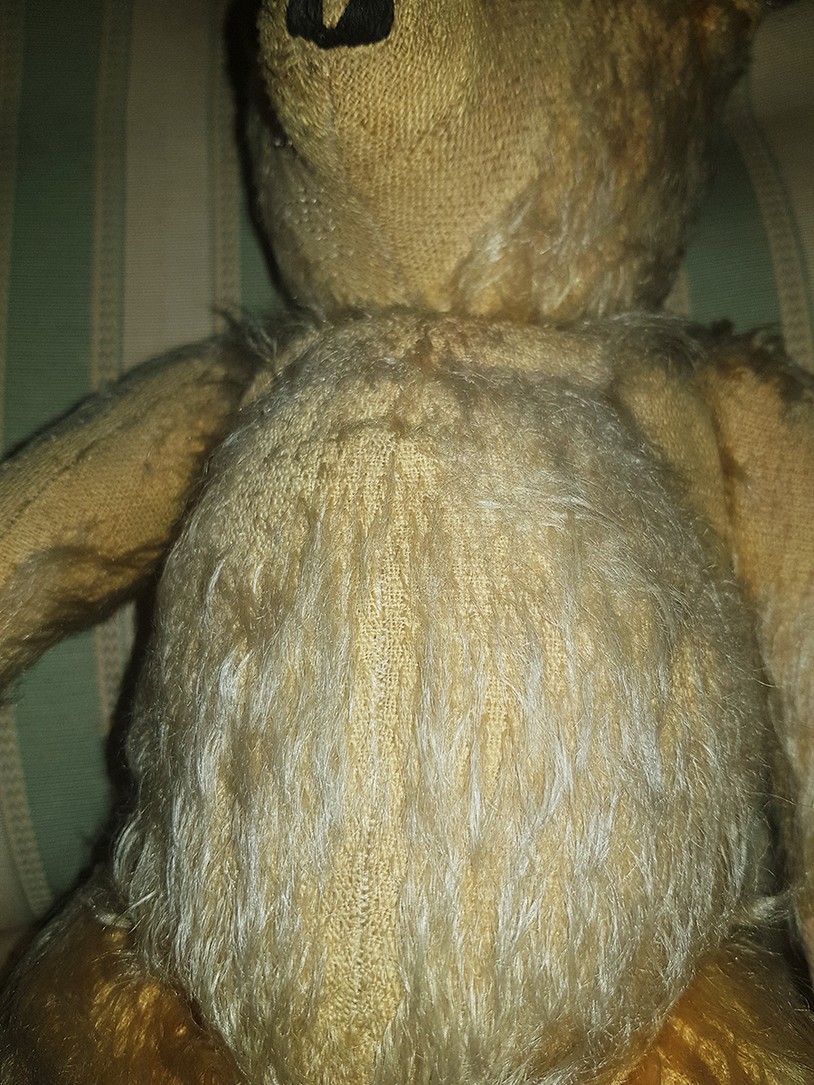 Teddy Bear Mistery - 4.jpg