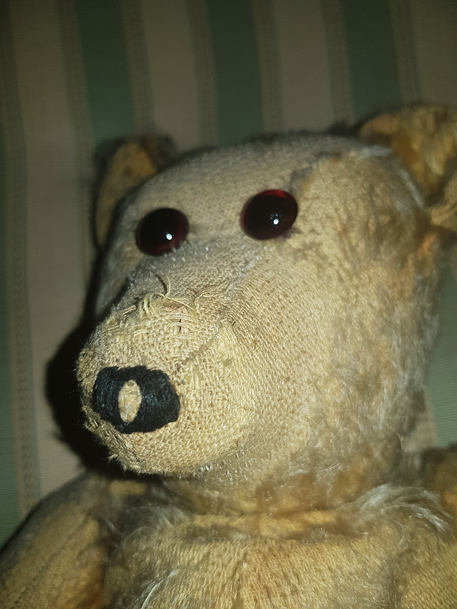 Teddy Bear Mistery - 5.jpg
