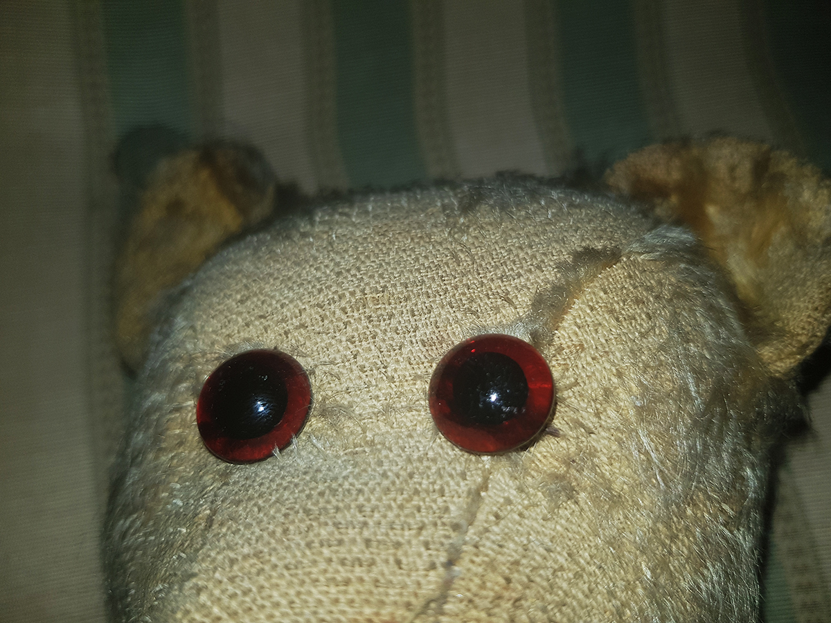 Teddy Bear Mistery - 7.jpg