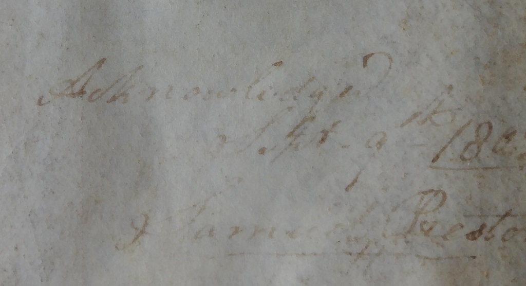 test natural light.jpg