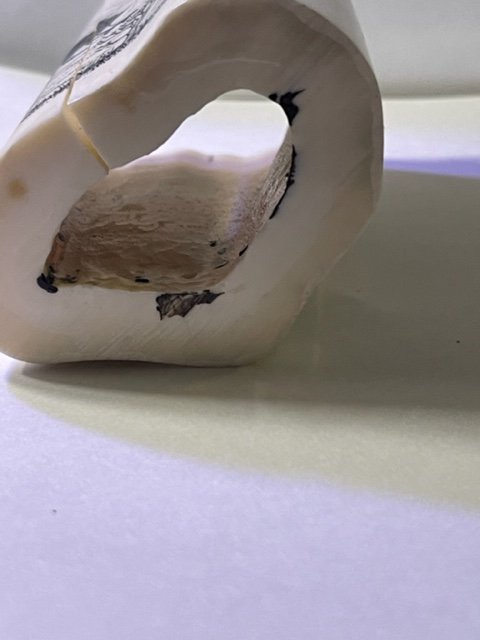 thumbnail_IMG_6713 (1).jpg