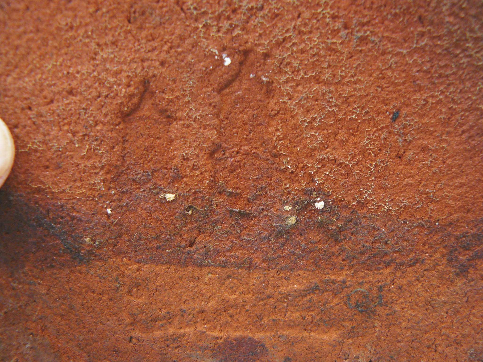 tiles3.jpg