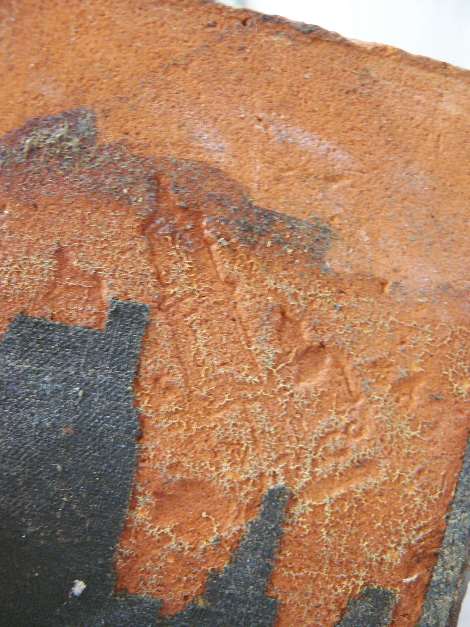 tiles4.jpg