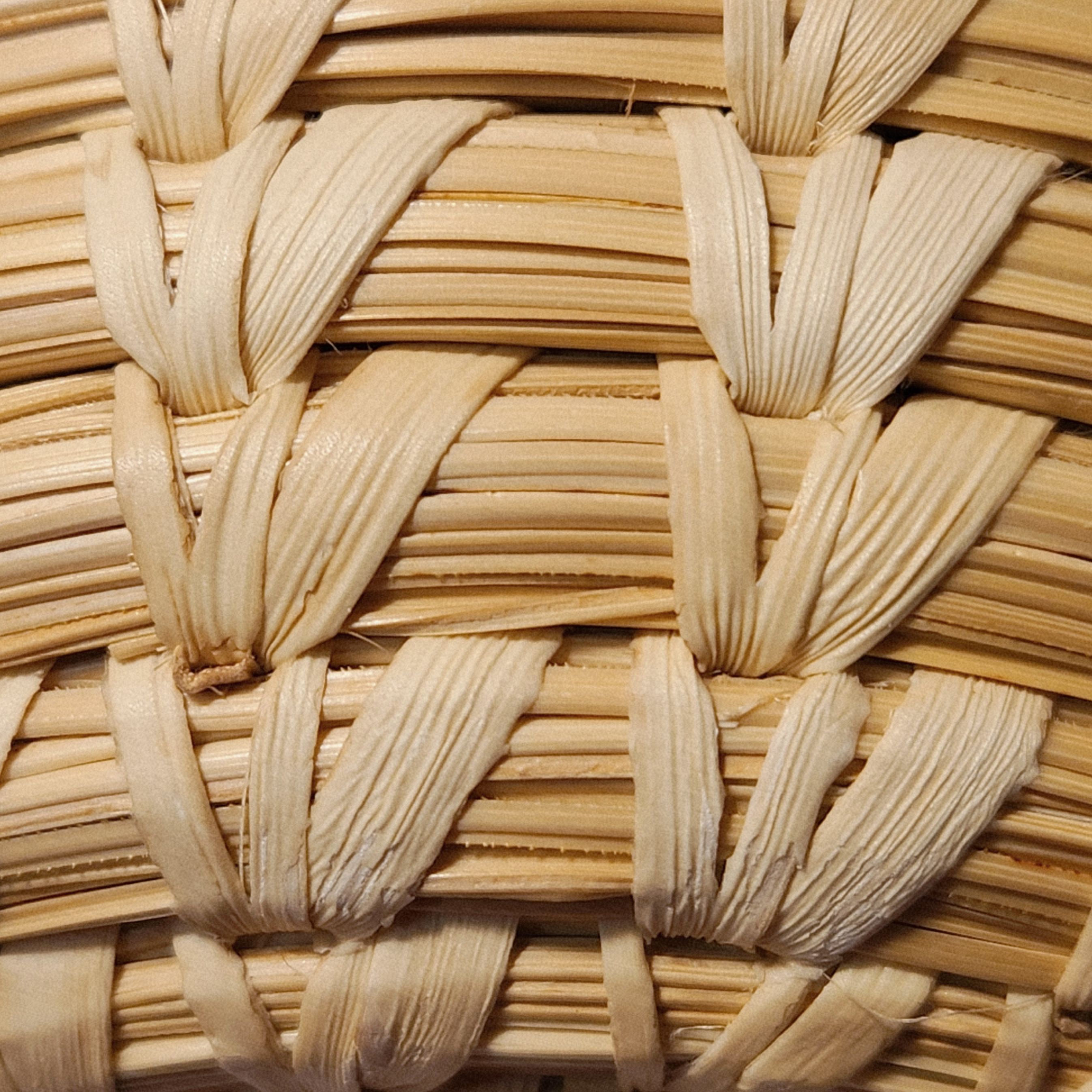 Tohono O'Odham side close up - small.jpg