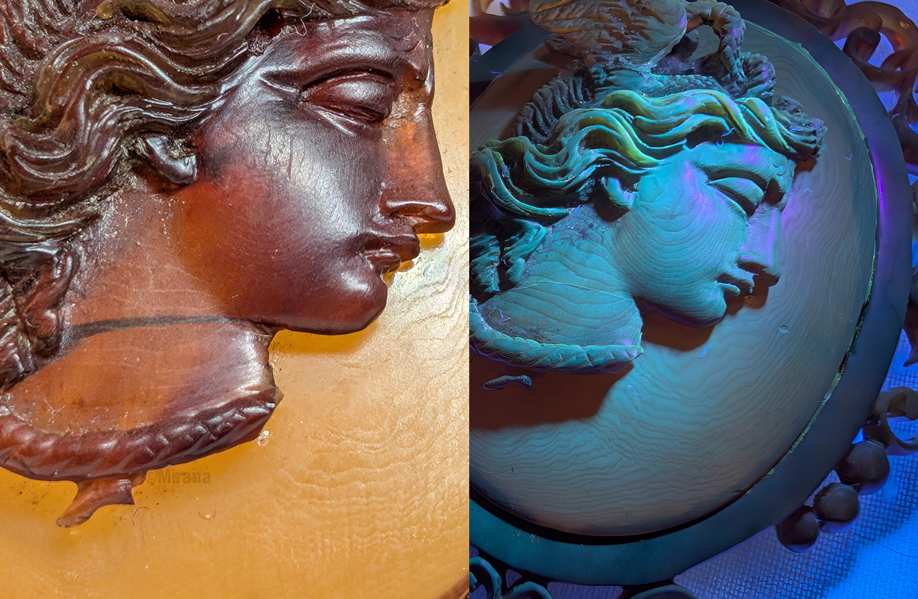 Tort Medusa Mirana 1 Bsm.jpg