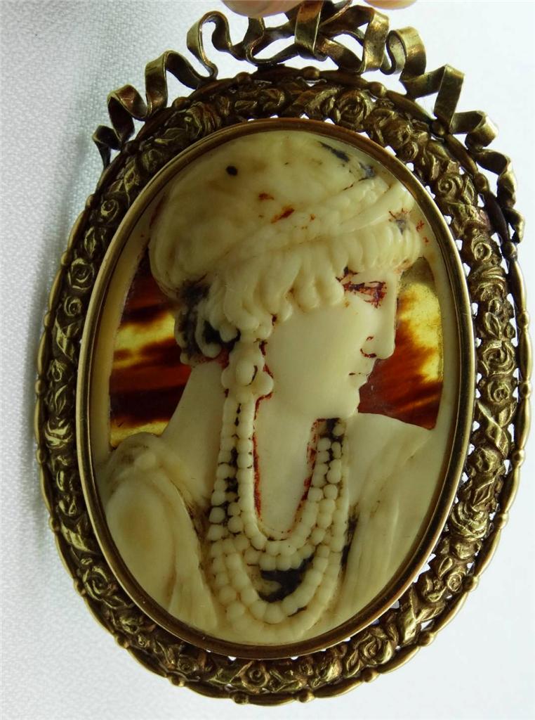 tortoiseshell A front.jpg