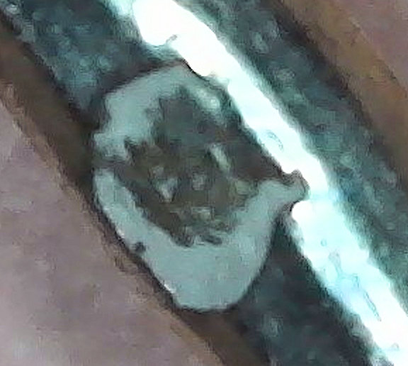 Tree Penannular D.jpg