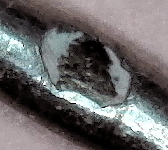 Tree Penannular E.jpg