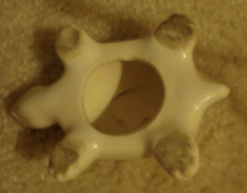 turtle 2.jpg