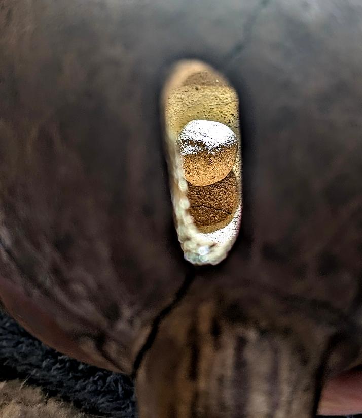 Turtle Rattle Interior.jpg
