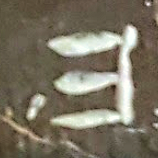 upload_2018-1-27_15-42-51.png