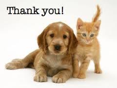 upload_2018-10-27_15-37-10.jpeg