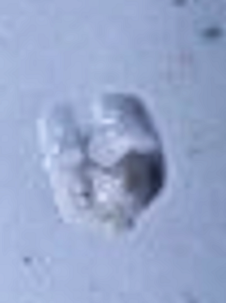 upload_2018-10-29_10-46-45.png