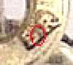 upload_2025-8-15_11-56-38.png