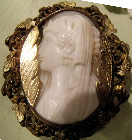 Veiled queen damaged (1) adj.JPG