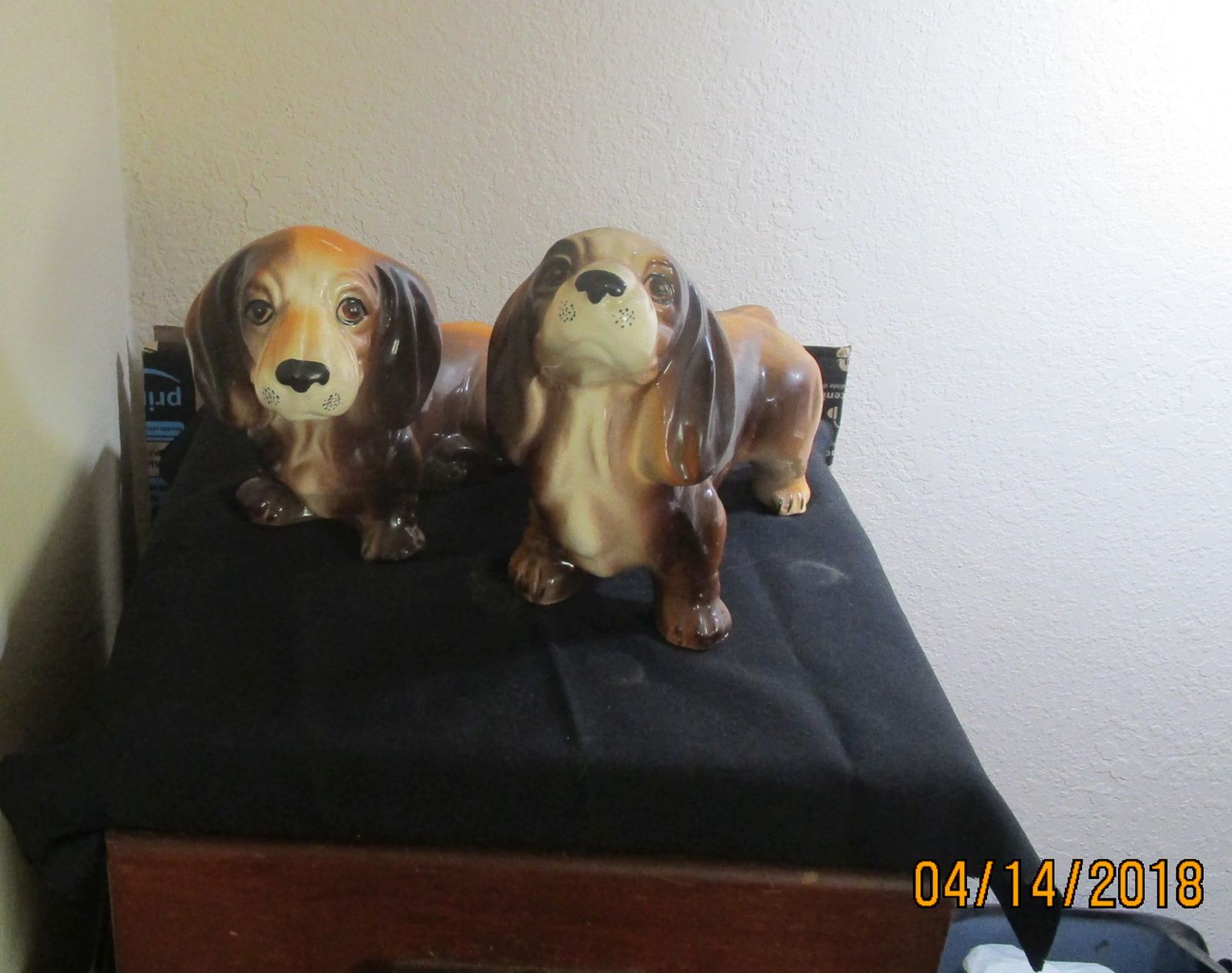 weinerdog 002.JPG