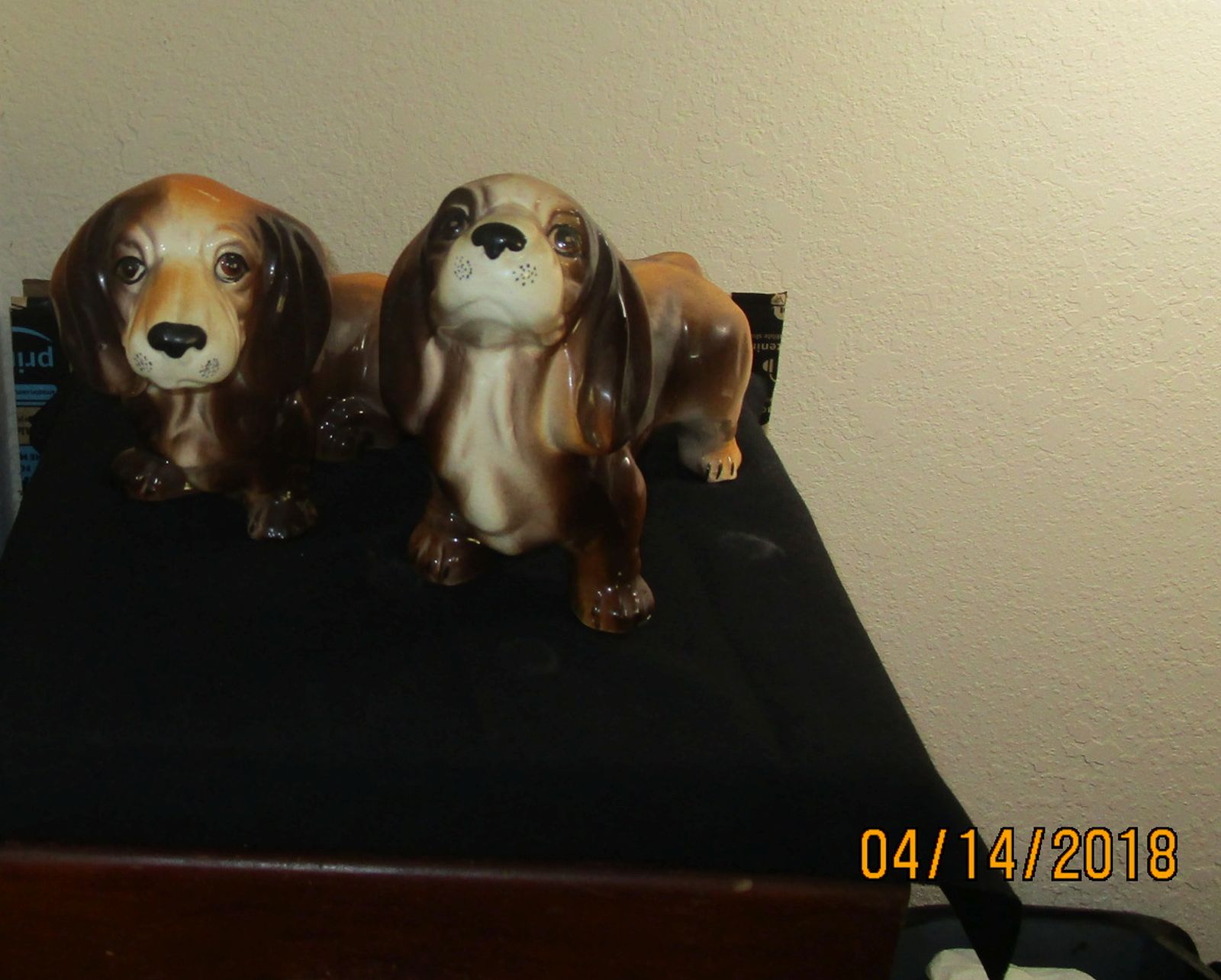 weinerdog 003.JPG