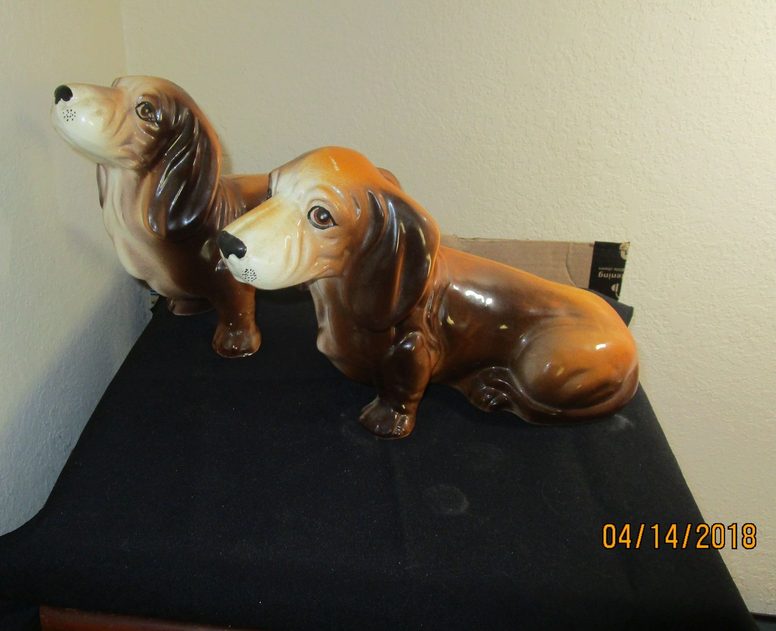 weinerdog 004.JPG