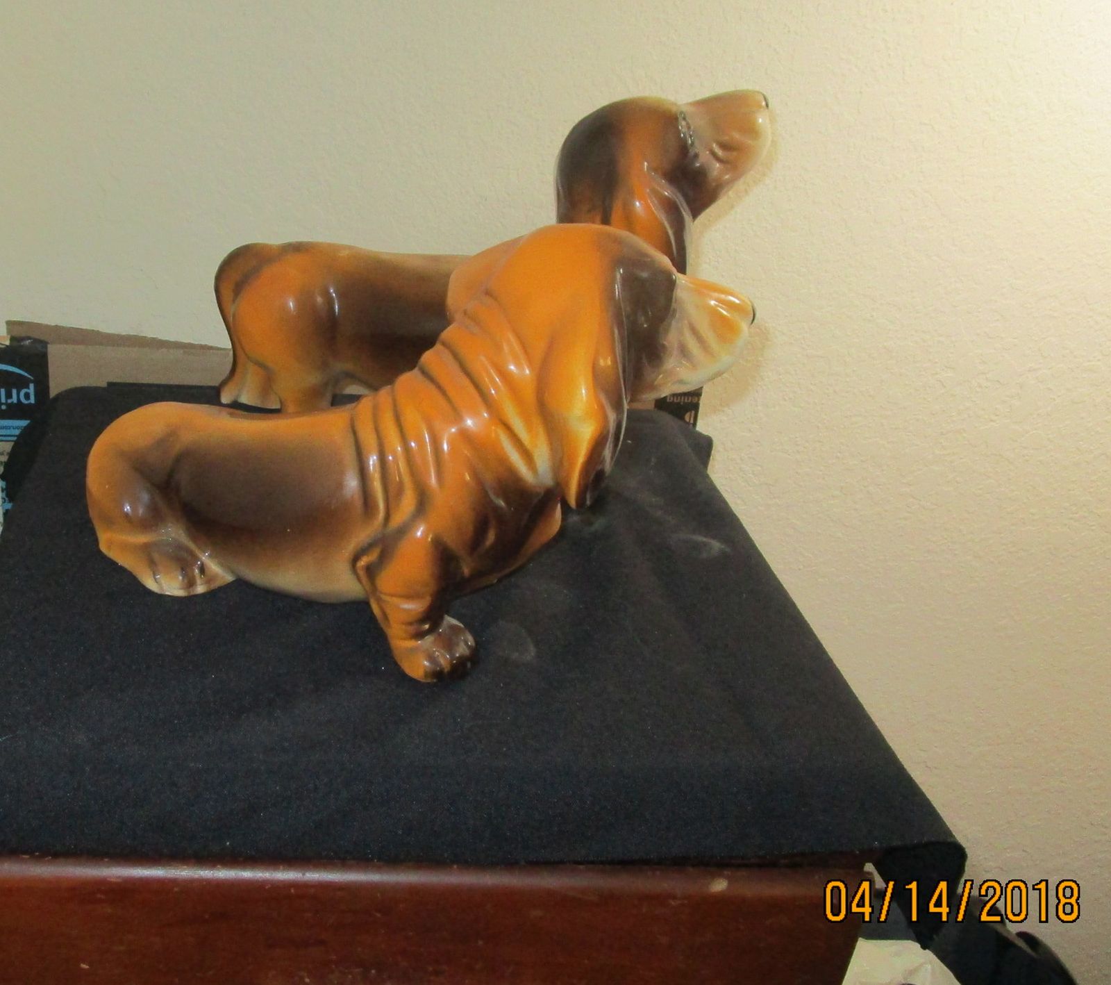 weinerdog 006.JPG