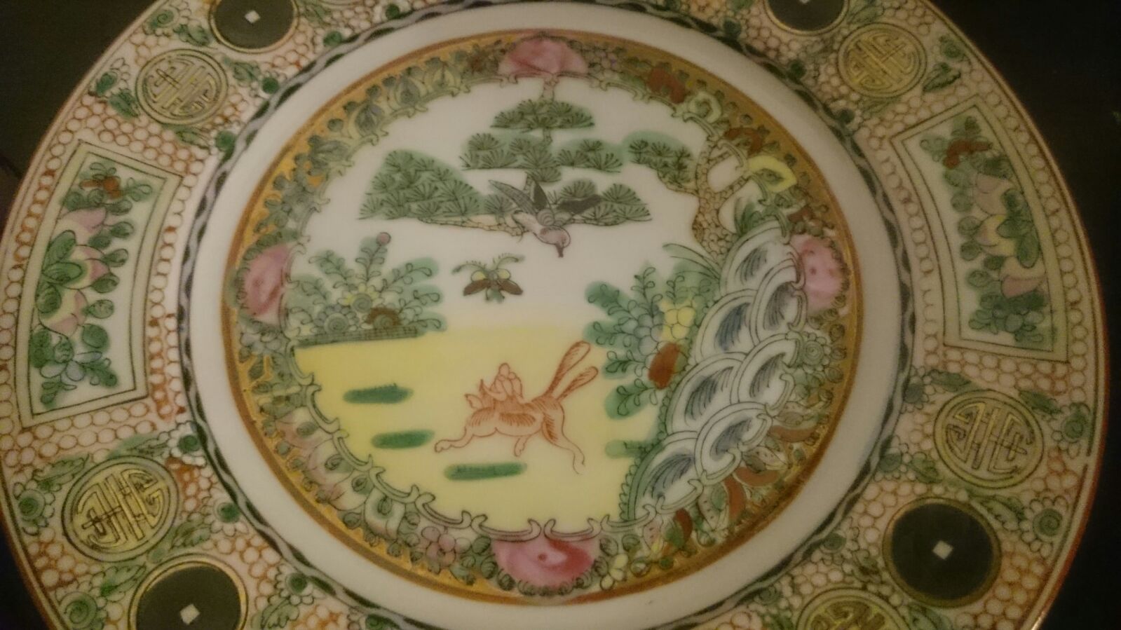 WhatsApp Image 2017-11-24 at 17.25.37.jpeg