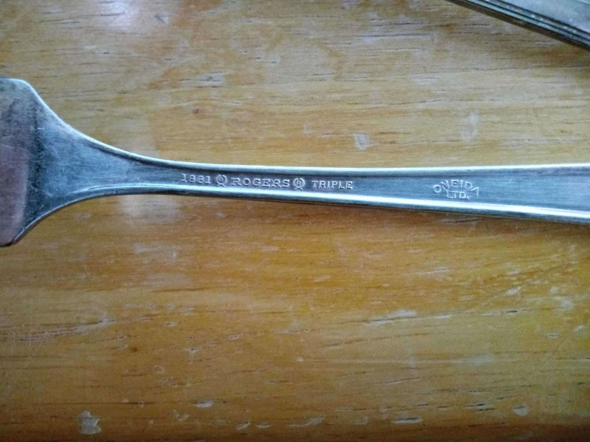 WhatsApp Image 2021-05-03 at 11.51.19 AM.jpeg