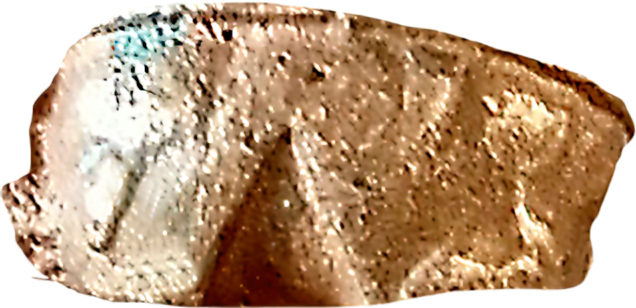 whatsitsay-standard-scale-2_00x-gigapixel.jpg