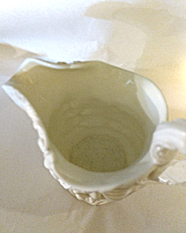 white-pitcher04.jpg