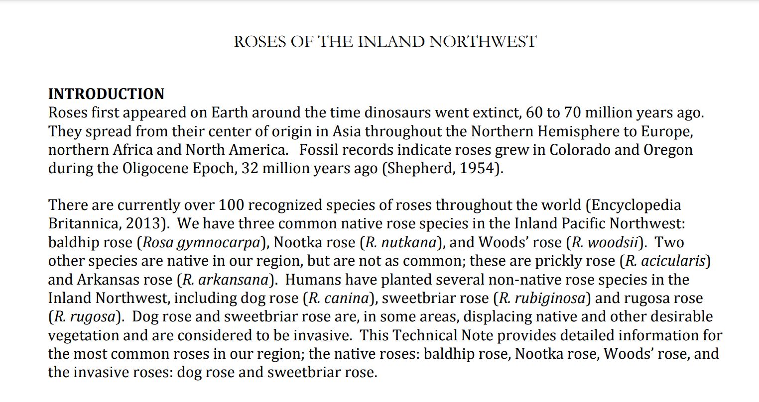 wild-roses-inland-northwest-USDA.JPG