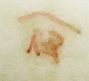 X31583183743458-758477467-edit.jpg