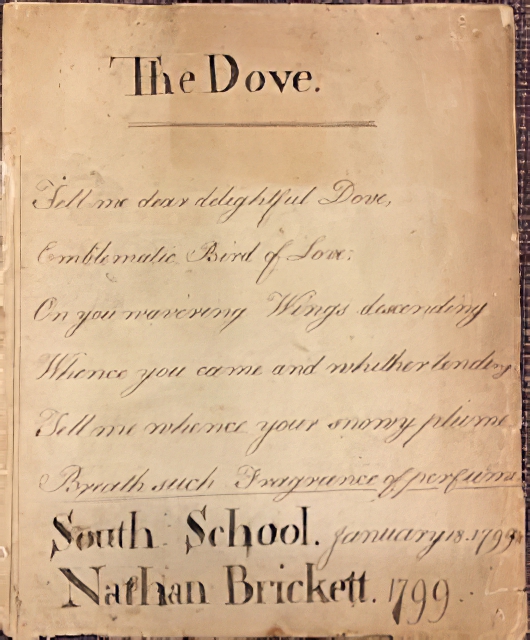 X3ZZZZZZ 32945-90169McInnis-edit.jpg