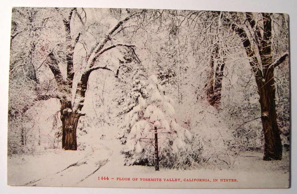 Yosemite Valley Floor c1907 winter scene, snow covered trees, Edward H Mitchell.jpg