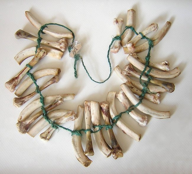 z - Bone Necklace--a.jpg