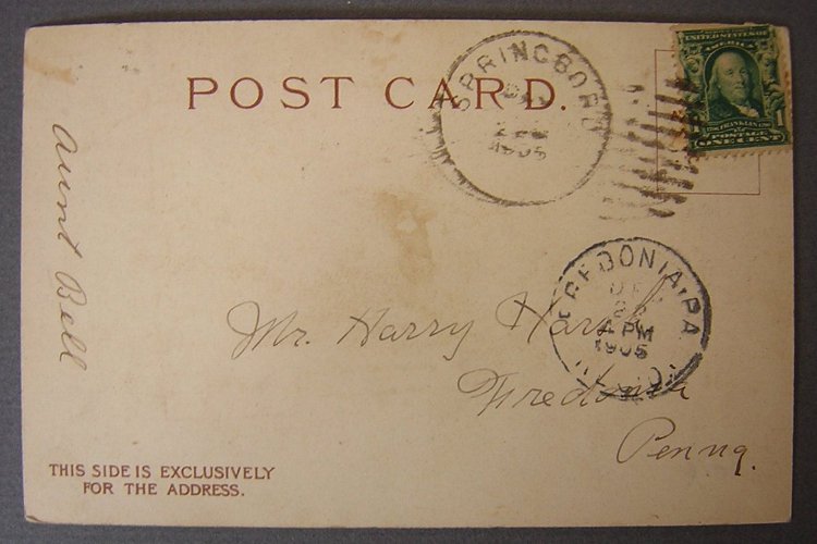 z Postcard Fancy Cat International Art Publishing 1905 Christmas give away -b.jpg