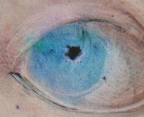 z Where Did the Last Snow Go -b.jpg