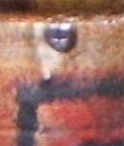 Z88 SCREW HEAD.jpg