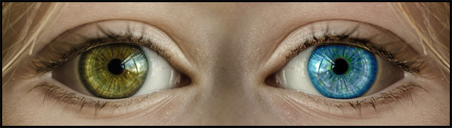 ZZZeyes2 copy 2.jpg
