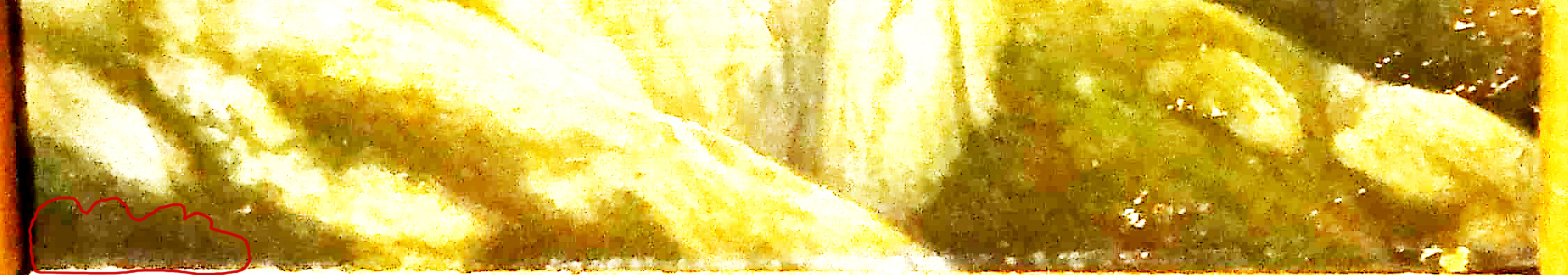 zzzzCLIFFS SIGGY-A.jpg