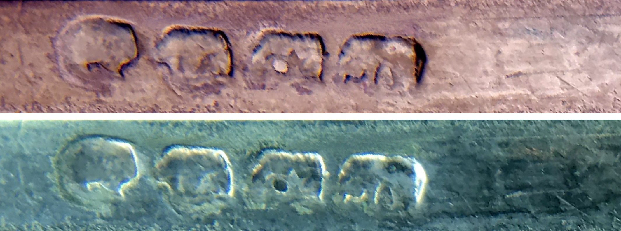 zzzzzSUGAR TONGS 22.jpg