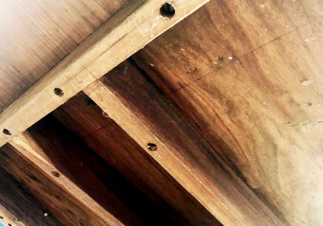 ZZZZZZ -B61D-B021ABDB097D.jpeg