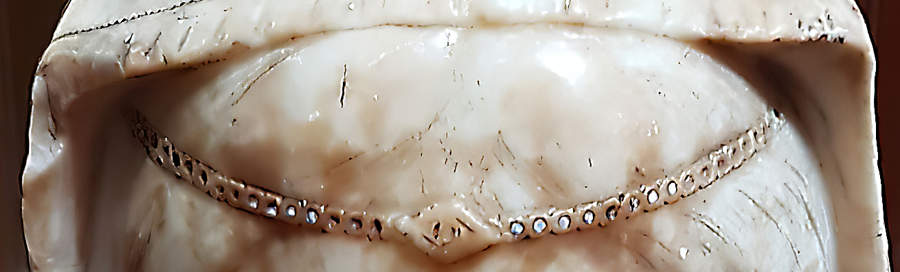 ZZZZZZ BONNET HEADBAND.jpg