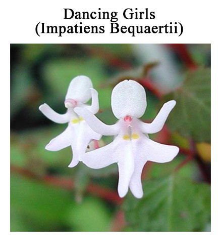 ZZZZZZ MOTHR NTRE2.jpg