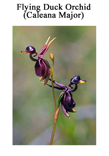 ZZZZZZ MOTHR NTRE4.jpg