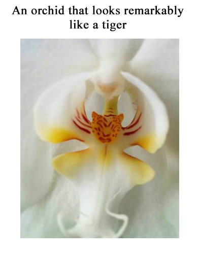 ZZZZZZ MOTHR NTRE5.jpg