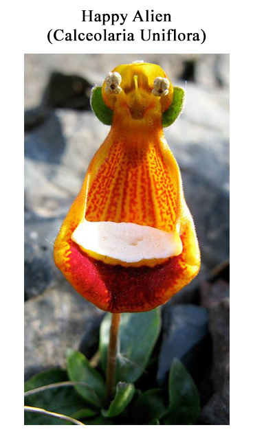 ZZZZZZ MOTHR NTRE6.jpg