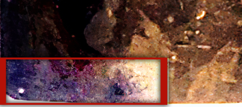 ZZZZZZSIG IN IMG CLOSEU[.jpg